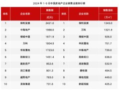 2024年中国房地产市场：销