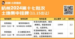 杭州第十七批土拍突发挂