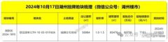 湖州长东低密住宅用地新