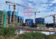 远洋城：平湖新星楼盘的