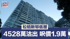 松栢新邨低层4528万沽出