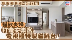 新盘轻装修仅需13万 猫奴