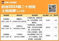 申花湖墅民生药厂地块！