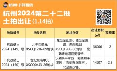 博奥路地铁旁的王炸新地