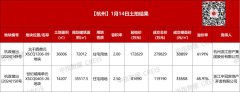 杭州迎来2025年首场宅地土