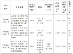 杭州2025年第二批土拍挂牌