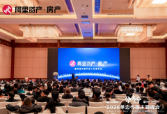 阿里资产亮相“单边代理