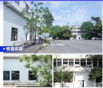 2026成都美术集训画室梯队