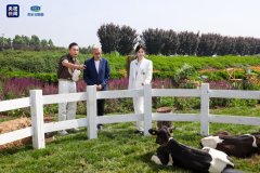 央视新闻探访君乐宝奶粉