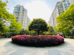 南京本土知名开发商暴雷