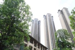 广州黄埔萝峰回迁安置房