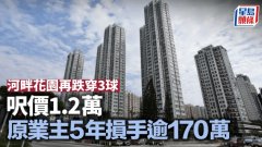 河畔花园再跌穿3球 呎价