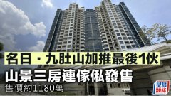 名日. 九肚山加推最后1伙