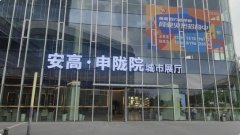 闵行梅陇纯新盘「安高申