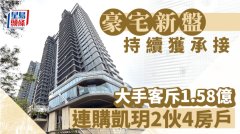 豪宅新盘持续获承接 大手