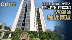 马鞍山泓碧一房490万蚀沽