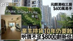 元朗溱柏三房600万易手 业