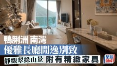 鸭脷洲南湾 优雅长厅闲逸