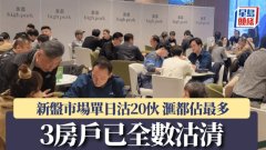 新盘市场单日沽20伙 滙都