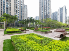 深圳楼市2025开年向好，部